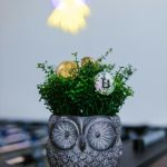 USA Crypto Forecast 2026: Bitcoin’s Surge & DeFi’s Future